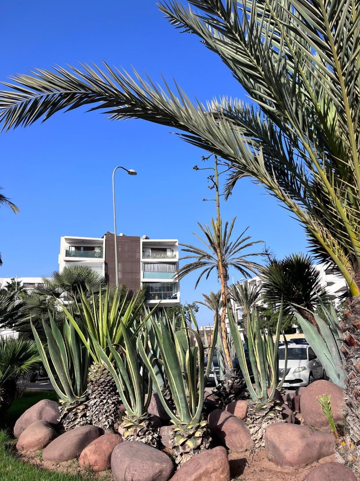 Appartement De Haut Standing En Residence Agadir Exteriör bild